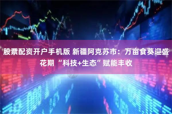 股票配资开户手机版 新疆阿克苏市：万亩食葵迎盛花期 “科技+生态”赋能丰收