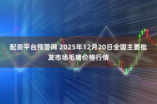 配资平台预警网 2025年12月20日全国主要批发市场毛猪价格行情